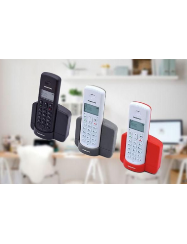 DAEWOO TELEFONO INAL. DTD-1350G  GRIS Daewoo International - 2