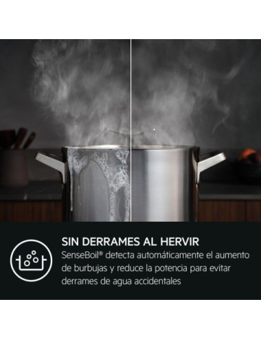 AEG Vitrocerámica Inducción TI63IQ3BFB 3 Zonas Negra 59cm Control Táctil