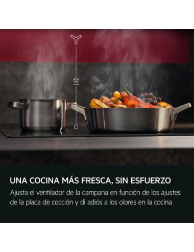 AEG Campana Extractora GB67D61HL 60 cm Integrable 600 m³/h LED Clase A+